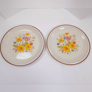 Casual Elegance Hearthside Stoneware Wildflower Dinner Plates Set Of 2 Japan
